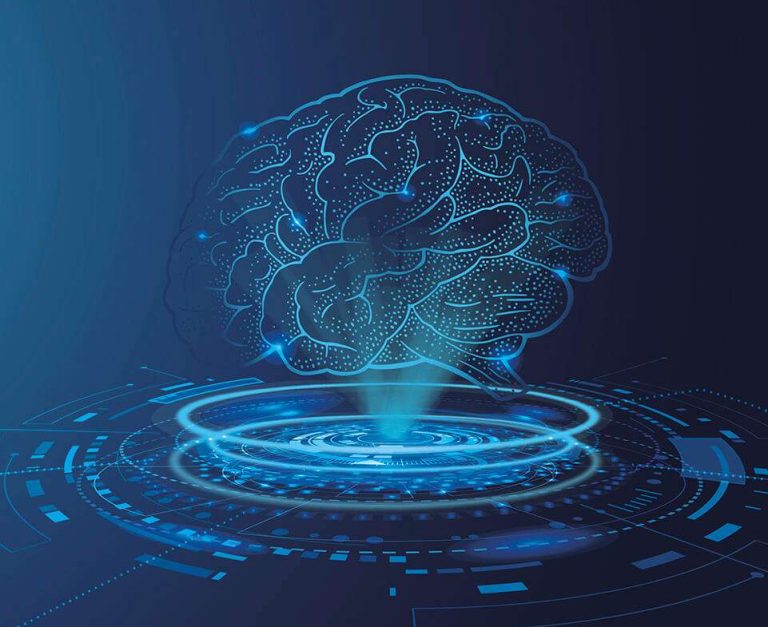 Brain