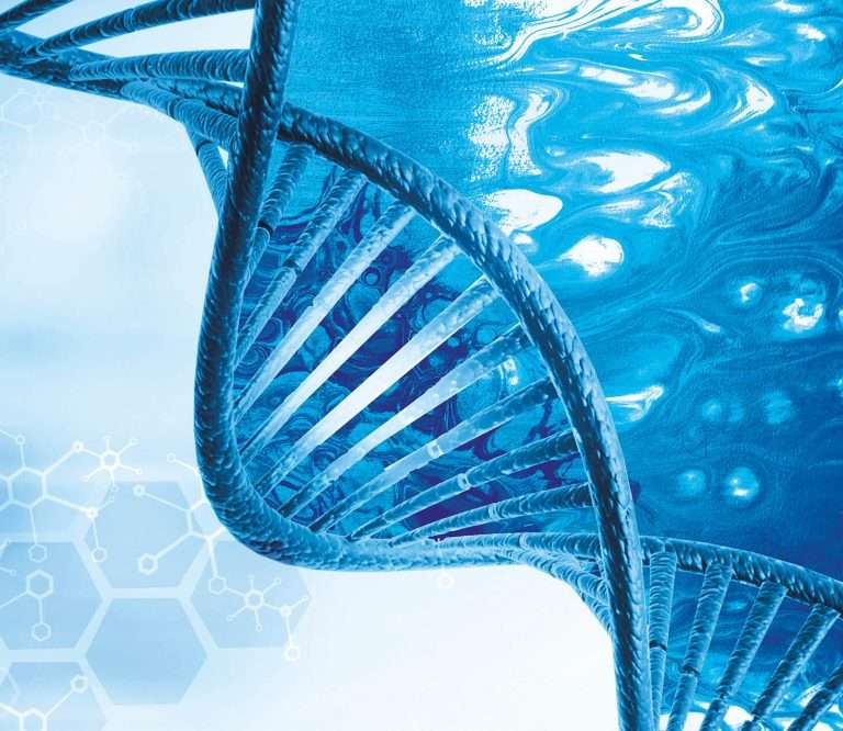 DNA small
